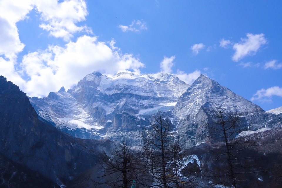 B8735337-A19E-42A9-B912-DBE70A0A54D1