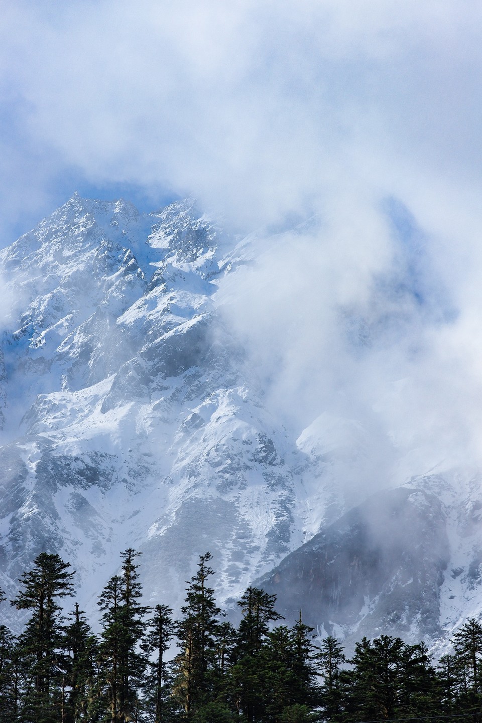 93B01500-27EC-4BCD-BD34-A5879096FD65