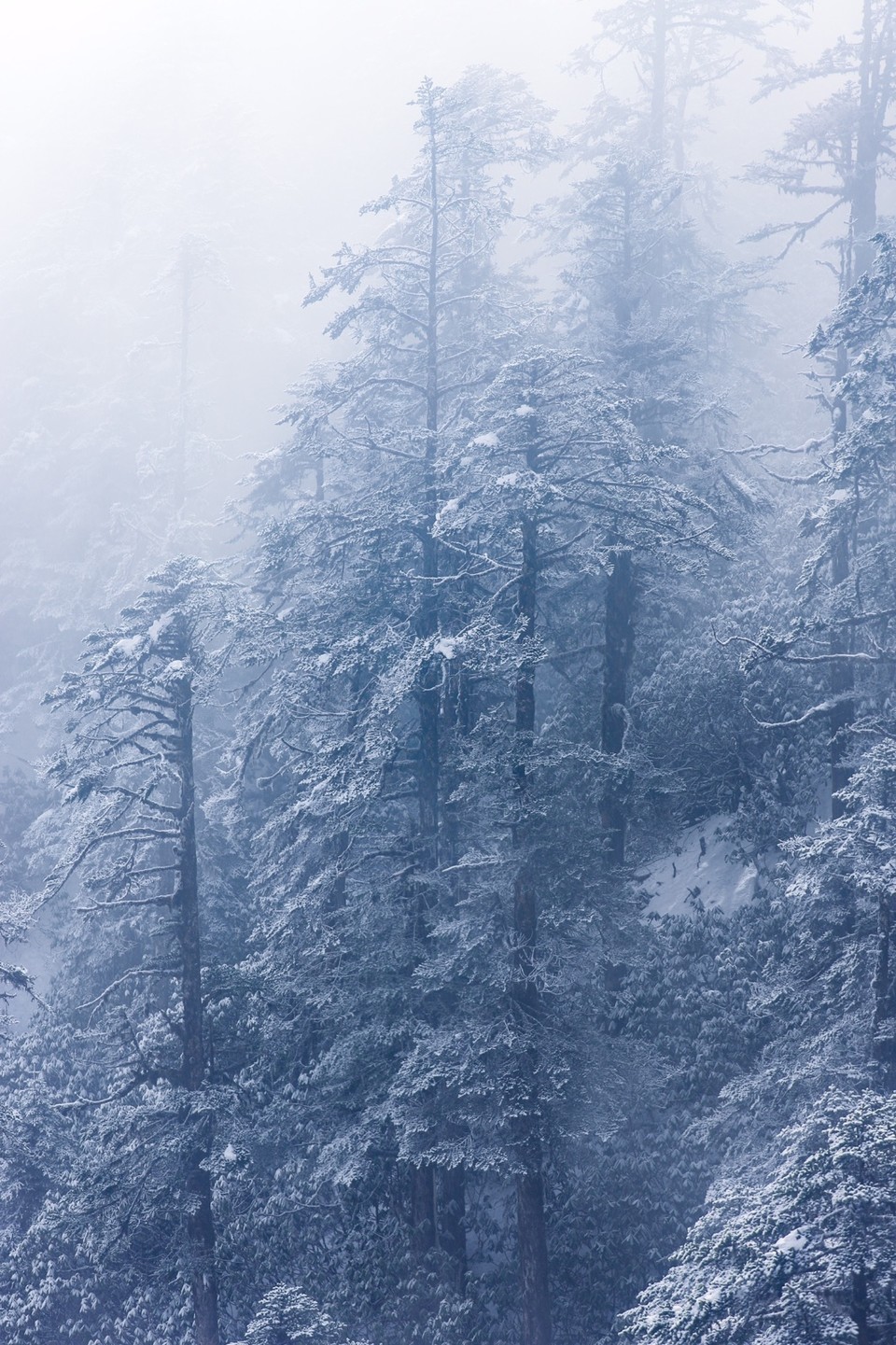 16BF7855-B57D-49CF-BBFF-5FD2BC2AF5B7