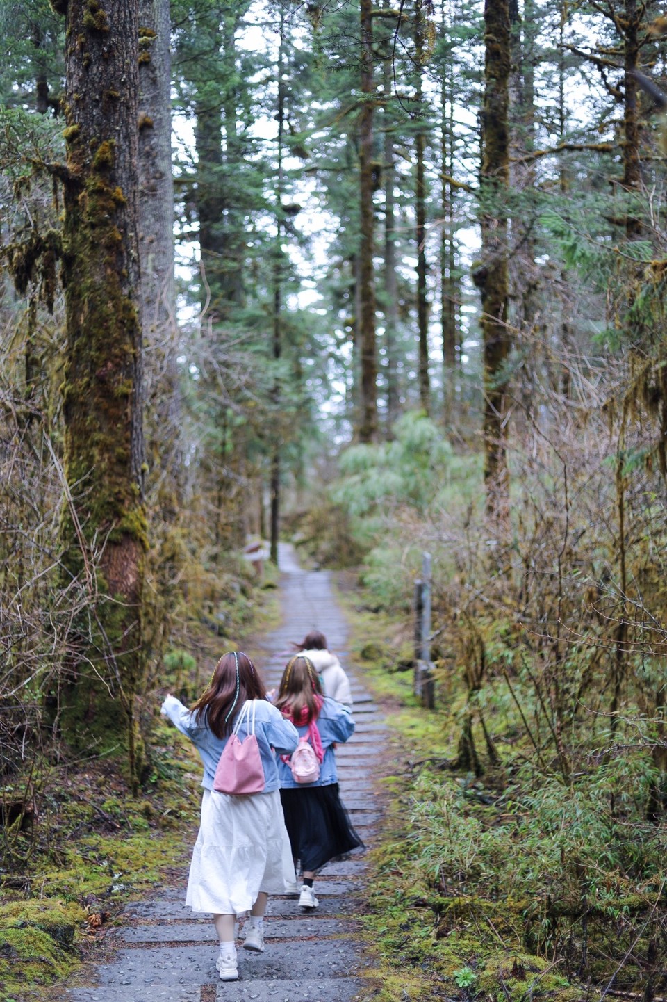 3B9486A1-2652-43CB-B44F-14A9B74CC4AD