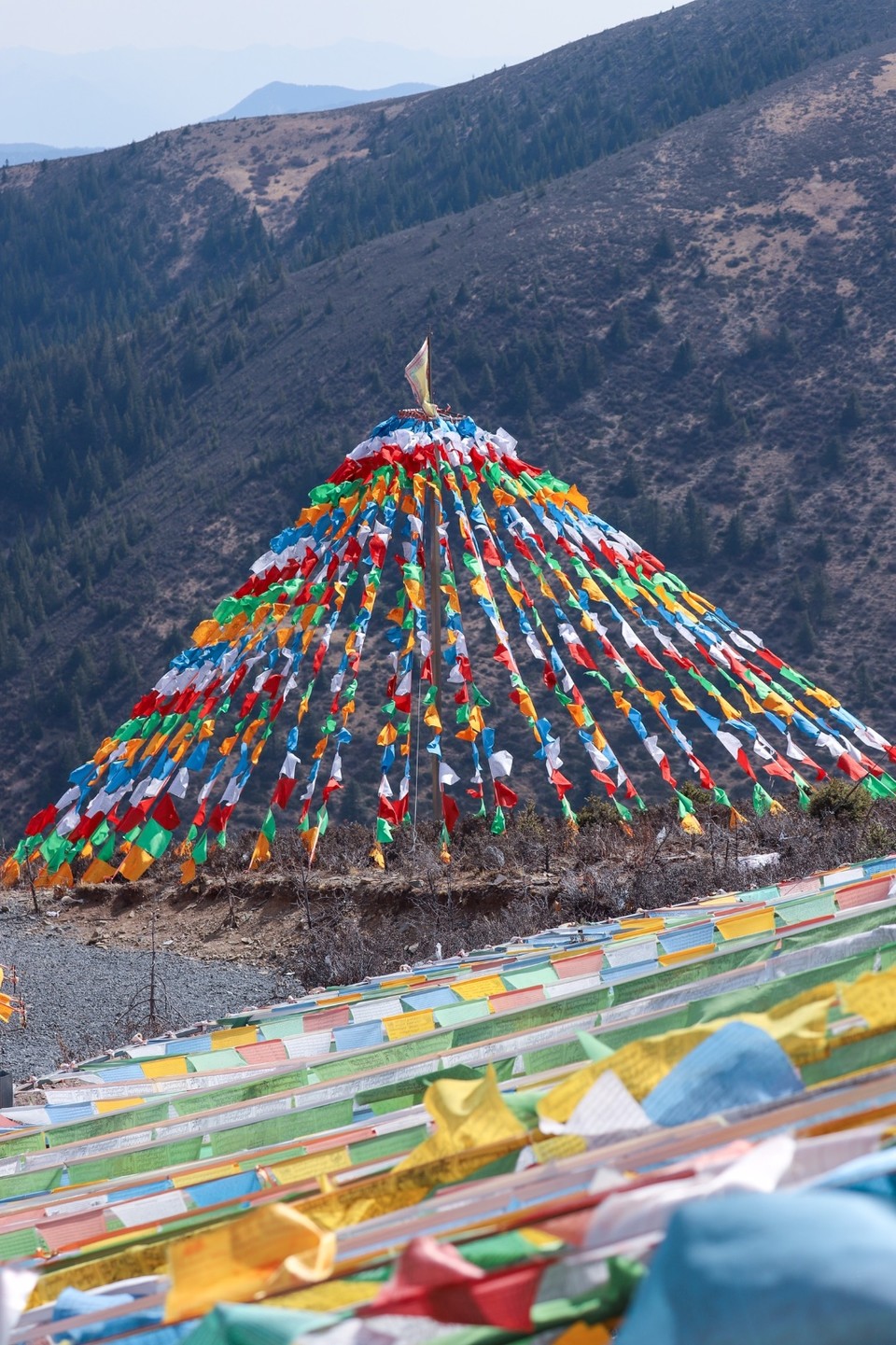 04AA03E3-A9EA-47D2-8FA2-980A84E3605B