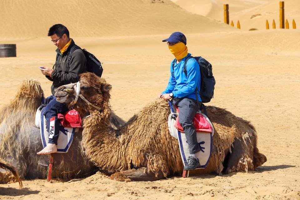 7B86C25D-2D96-46E9-B998-5A3EAF13F7F1