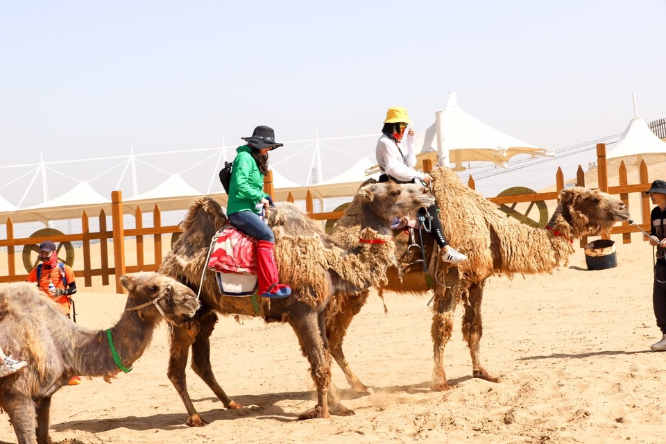 30876A72-2162-4177-A783-92CE711684A1