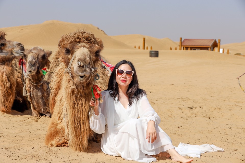 E6C39071-8F27-4FD3-ABA2-377F1078F254