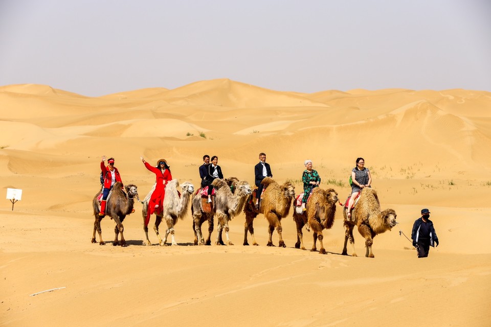 D67D2FE5-7635-4588-9F46-E2446297118A