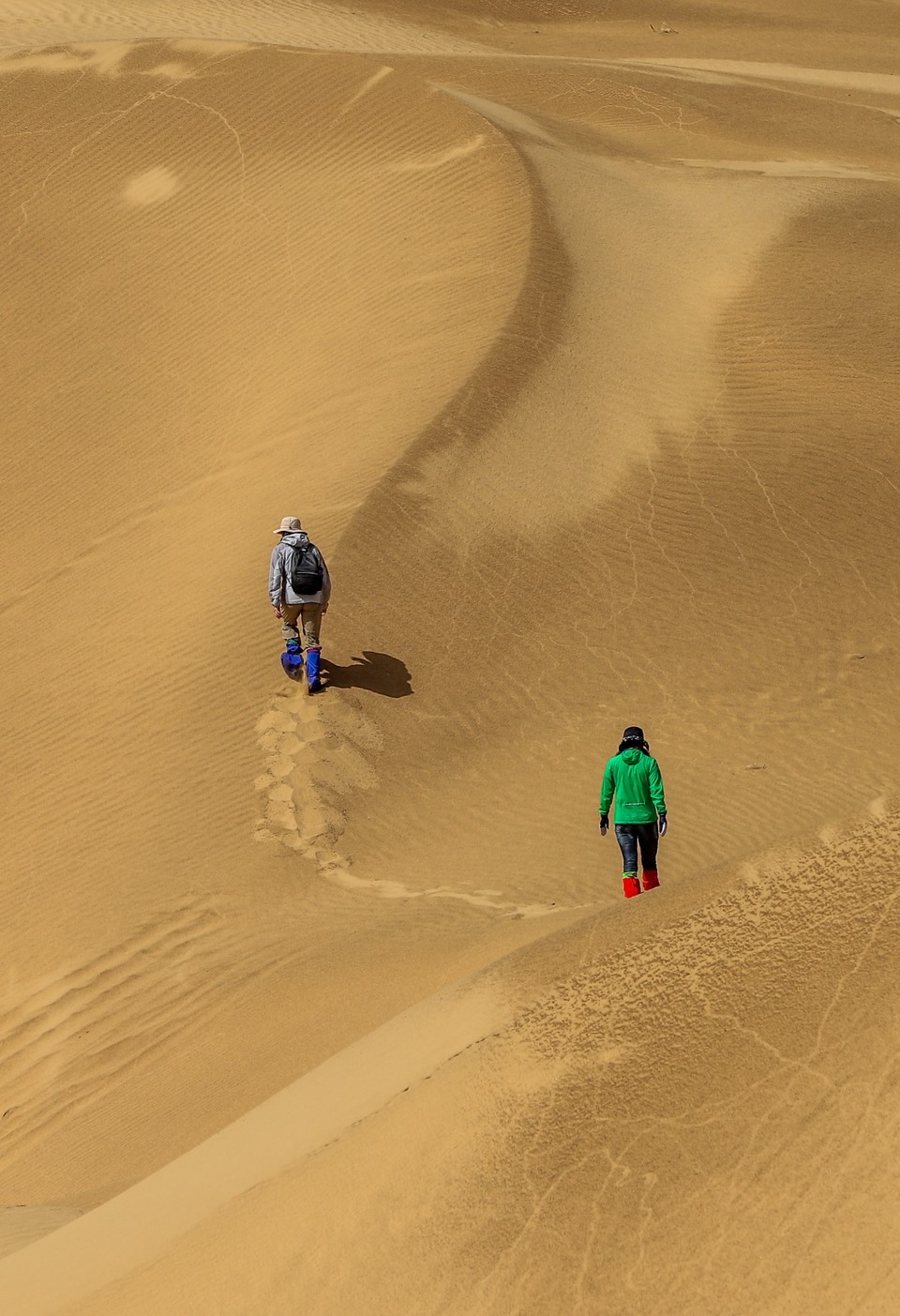 4F710B75-A5D6-42A6-A7CA-6F7C9F1E7E72