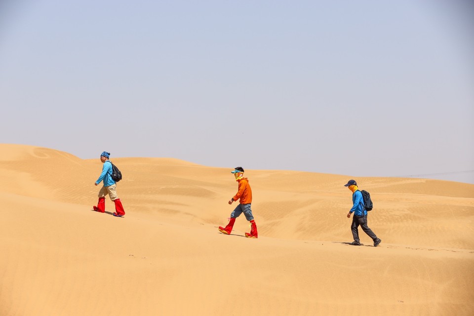 19647D32-2319-4EFC-82E6-D9A001E30C91