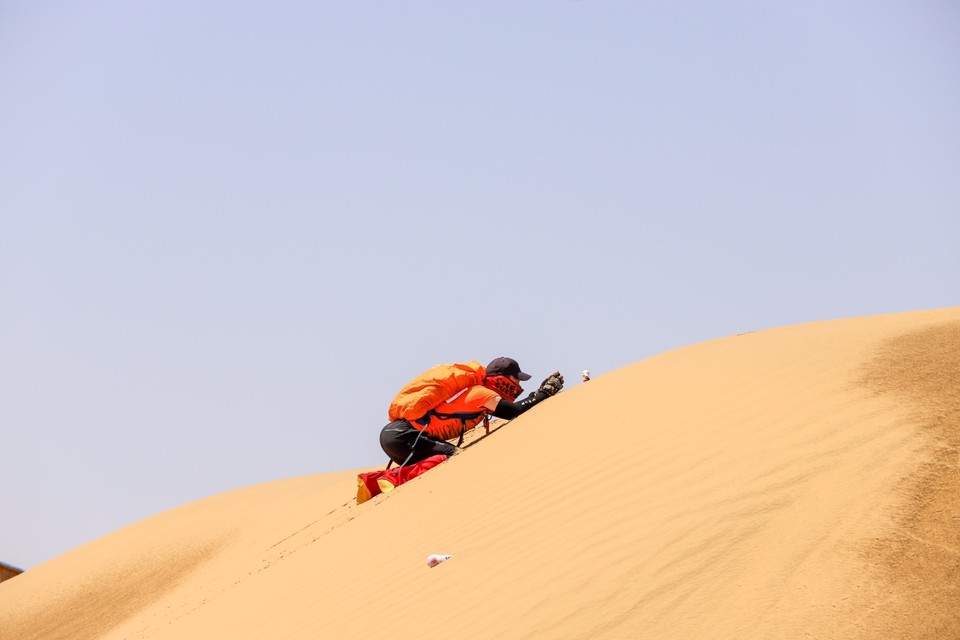 0D245C98-8EEE-4169-A474-2241194FC3FB