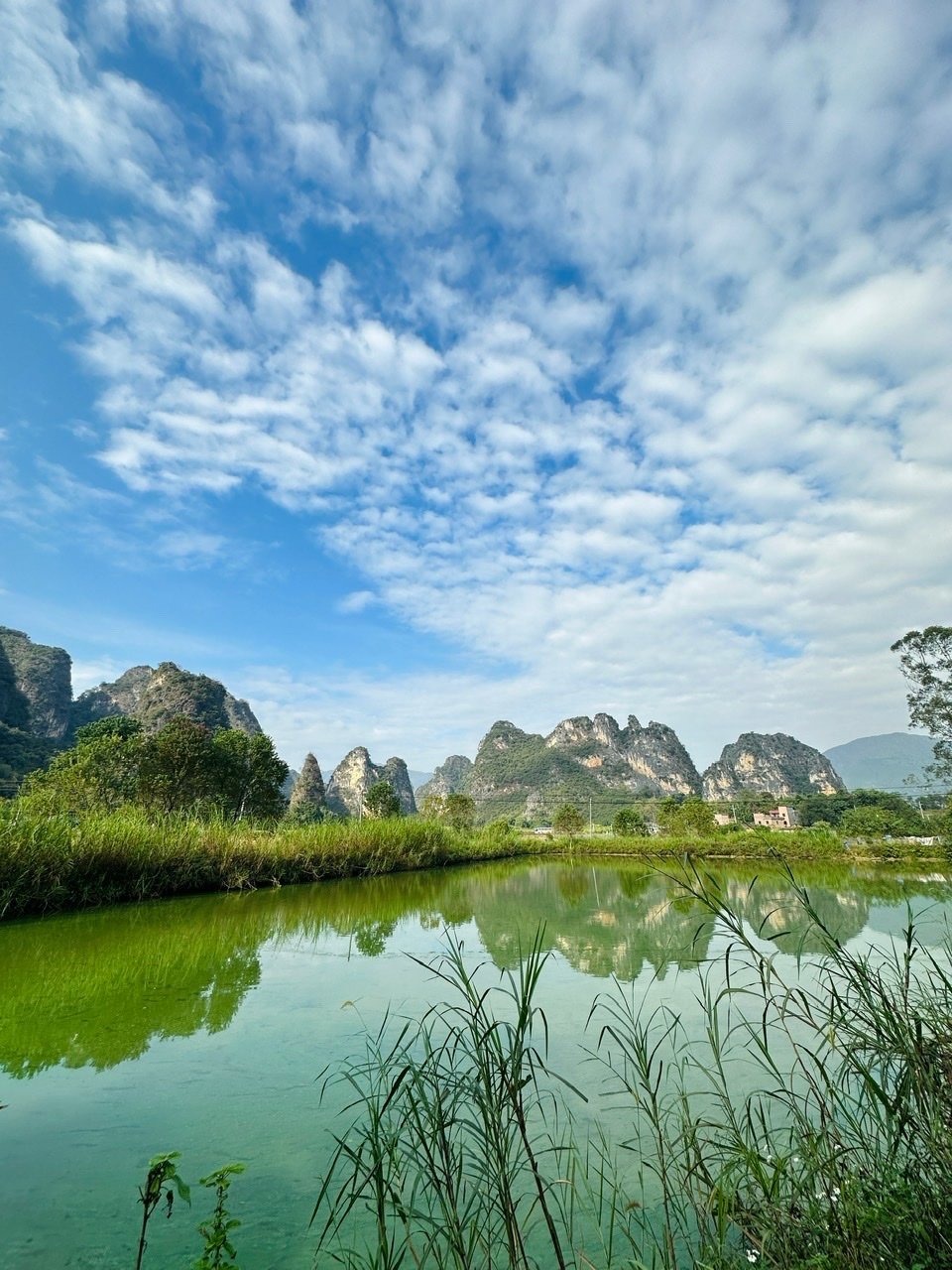 526AD5FE-3C7D-4A3D-838D-F3A5EEC9904B