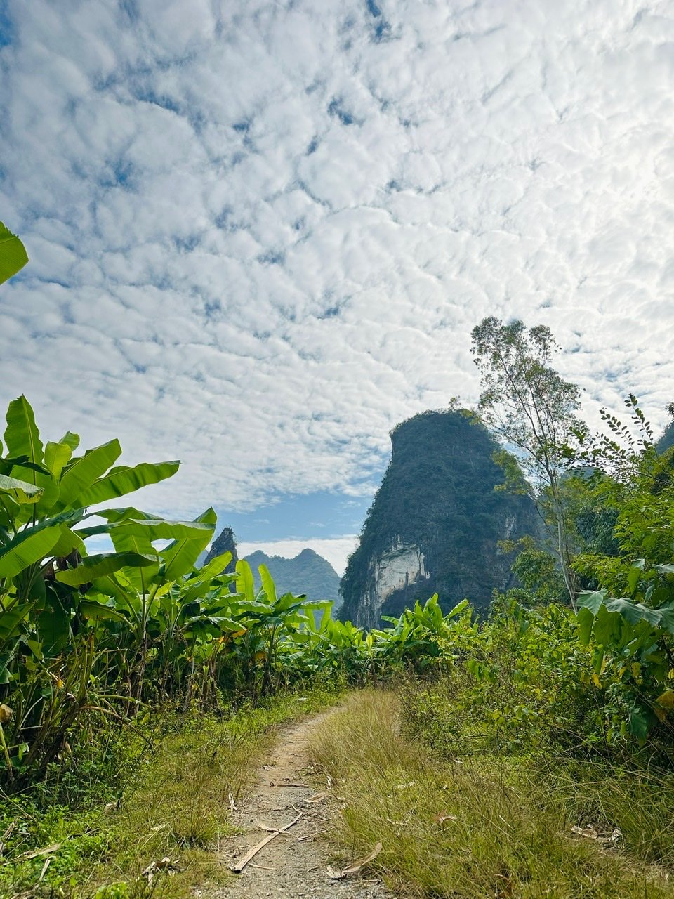 147AC931-F1B9-47D4-B1B2-9DEE2F469C96