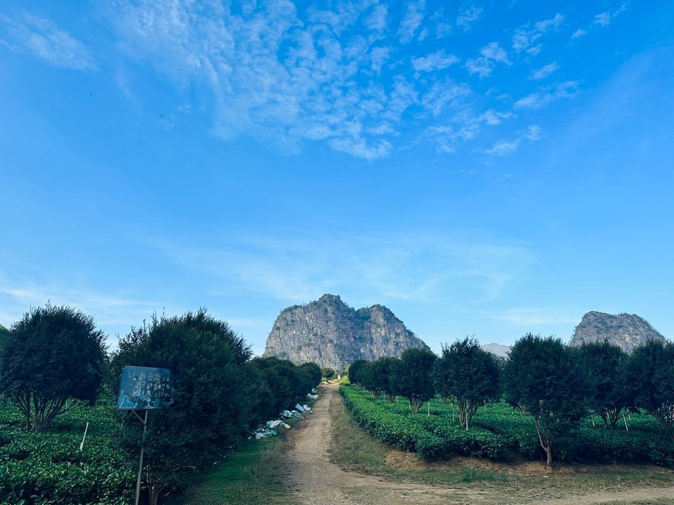 81D52426-3BA9-4D35-97D9-C862866C47C7