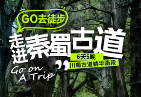 【走进秦蜀古道6天】金牛古道-米仓古道-拦马墙-普安镇-翠云廊-汉阳古蜀道-抄手铺-云雾山