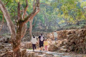 【广东徒盟第二站】4.18周六 增城二龙山油桐花节+古榄园18公里徒步