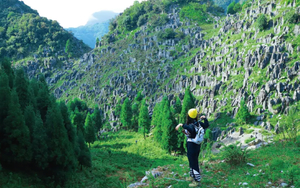 【贵州屋脊7天】乌蒙山脊+乌蒙东坡+韭菜坪+阿西里西秘境+百草坪徒步