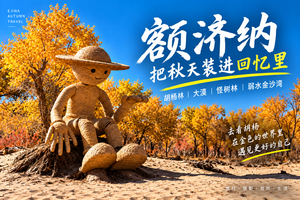 【额济纳6天】2-8人小团丨银川起止，深度游玩额济纳胡杨林