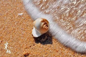 【广州出发】徒步穿越惠东海螺角