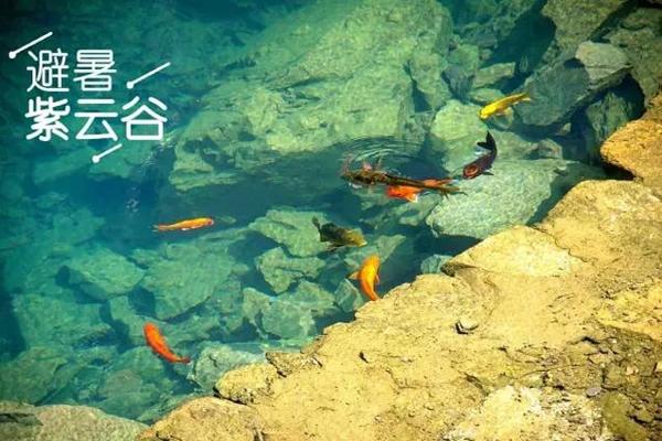 6.30周日｜砚都秘境紫云谷，清凉休闲之旅