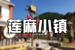 【佛山出发｜莲麻李花】休闲徒步古驿道，赏李花