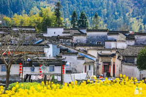 【阿牛带队丨婺源三月春景】婺源最美油菜花、篁岭、小桥流水李坑、画里宏村