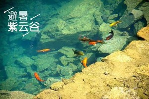 【广佛出发｜肇庆紫云谷】紫云谷清凉休闲之旅