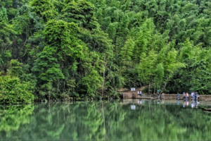 【广州出发｜千泷沟穿越】徒步穿越千泷沟大瀑布，行摄万亩竹海