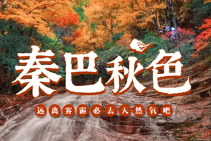 【秦巴秋色6天】光雾山-黎坪红叶节-龙头山云海-十八月潭深秋探秘之旅！