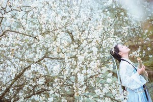 【金川梨花+牛背山6天】8人纯玩小团！春染川西纯玩小团 · 赏梨花、观贡嘎雪山