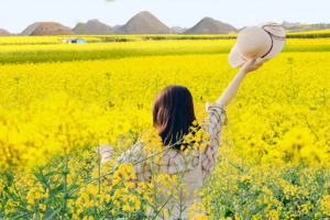 【滇东南之春7天】元阳梯田-罗平油菜花-九龙瀑布-坝美-普者黑-东风韵-弥勒-建水-屏边滴水苗城-大围山-人字桥-火车集