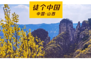 【徒个中国｜山西站】4月7-12日｜西太行连翘花徒步节