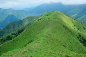 【三官山】特种兵之夜爬三官山，赏高山草甸 星空日出