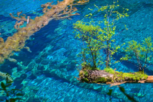 【九寨沟6天】8人VIP小团 · 夜宿九寨沟内