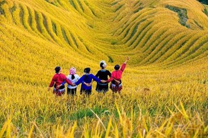 【龙脊+黄姚汽车团】周五晚出发！深度赏龙脊梯田最美秋色，诗画千年黄姚！
