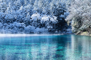 【大美九寨6天】8人小团！九寨沟+三星堆+毕棚沟+达古冰川+平武报恩寺+古尔沟温泉