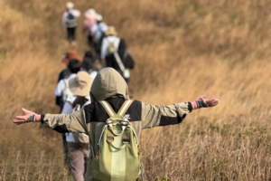【广州出发｜牛塘山】云端上的草原，醉美高山草甸，徒步牛塘山