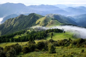 【夜登广西六五顶】看漫天繁星，壮美日出！徒步广西版的那拉提高山草原