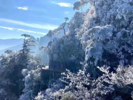 【广州出发｜冰雪莽山1天】漫步悬空栈道、观莽山云海冰挂雾凇