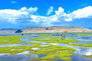 【一路向北7天】大理双廊-洱海旅拍-喜洲-S弯骑行-沙溪-虎跳峡-白水台-普达措-松赞林寺-纳帕海-丽江-泸沽湖