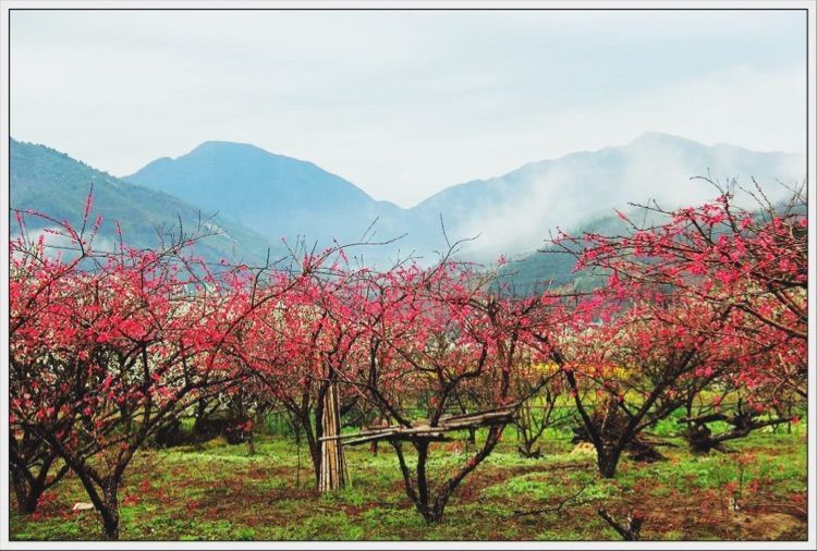 户外社区 活动回顾【游记】春游广东最美乡村-韶关九峰山 且看一