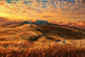 【武功山汽车团】山脊线草木界！看日落云海星河，行走云端草甸