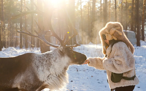 立减200【漠河雪国列车5天】SUV小团！极地雪世界初体验！找北之旅从这里开始