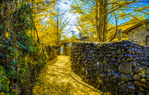 【云南赏秋6日】2-7人小团！一次玩遍滇西，大理+腾冲银杏村+和顺古镇泡+热海+北海湿地+温泉酒店