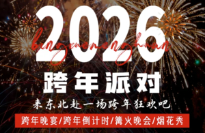 2025东北冰雪跨年行丨4天丨2025跨年晚宴+篝火晚会+烟花秀，全年仅此一批！