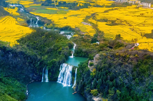 【千山花海·云南春日6天】2-12人 | 金色油菜/粉色冬樱/洁白梨花，昆明+建水古城+罗平油菜+蒙自+抚仙湖+九龙瀑布