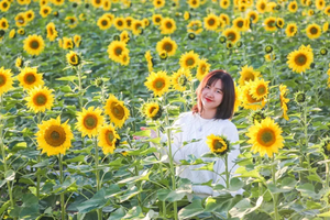 春节【广佛出发⎜浪漫春色】超出片！堕入惠州三角梅、炮仗花花海瀑布，漫步金色向日葵花海