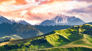 【绝色新疆·天山红花 7日】2-6人小团 S101网红国防公路  天山红花 苹果花 赛里木湖 库尔德宁