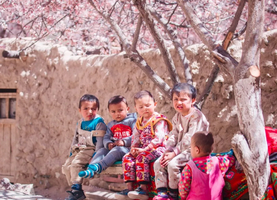 【南疆寻花8日】2-6人团 乌尉高速 温宿大峡谷 博斯腾湖环湖公路 木吉火山口 莎车古城 班迪尔湖 库克西鲁乡杏花