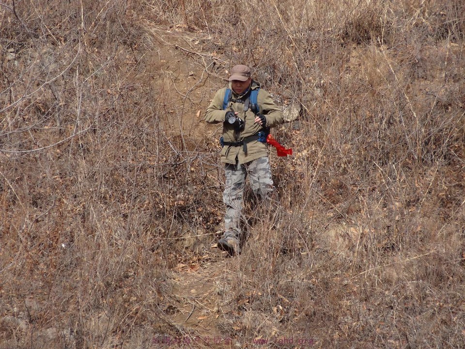 0ca3e4ff5e370b4455f3b22c233022d8_org