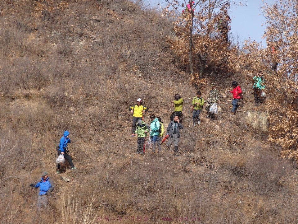 1bcfbccea79bd37d3d5749923757c3a2_org