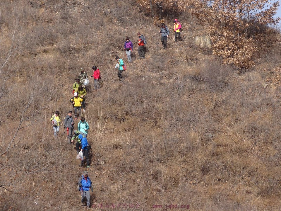 5da6ab0033cdef765e4431430e17be29_org