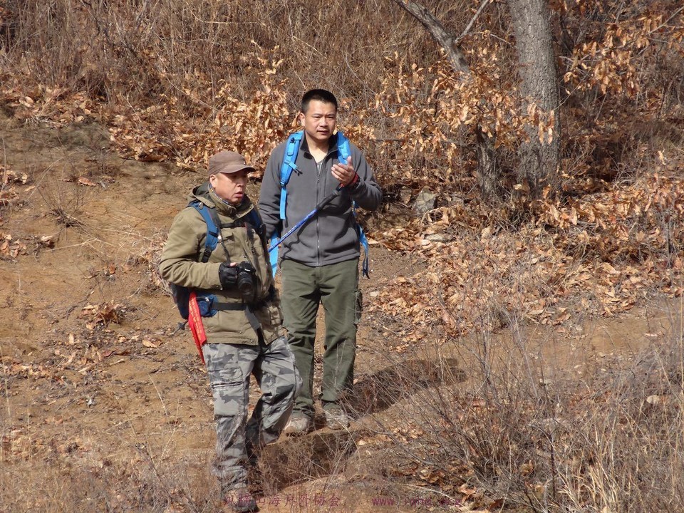 82299bb1f646c8006af54053ca845b07_org